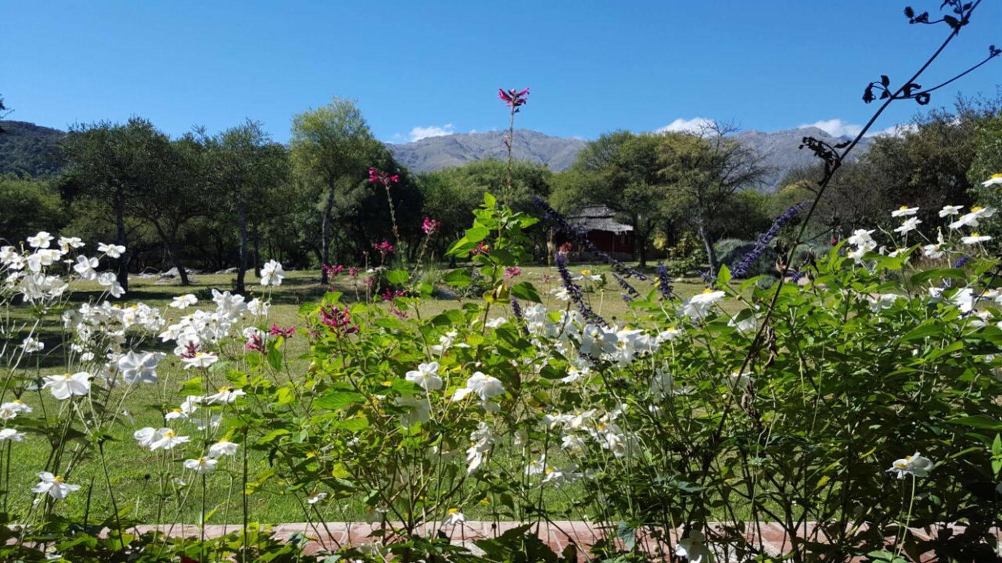 Las Dalias Villa Las Rosas Kültér fotó