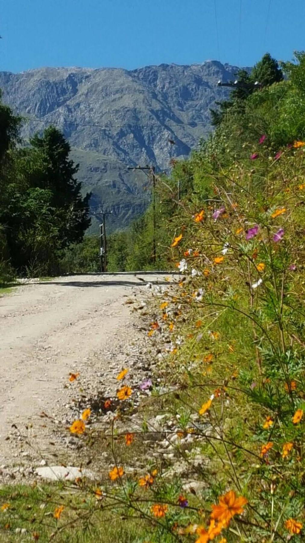 Las Dalias Villa Las Rosas Kültér fotó